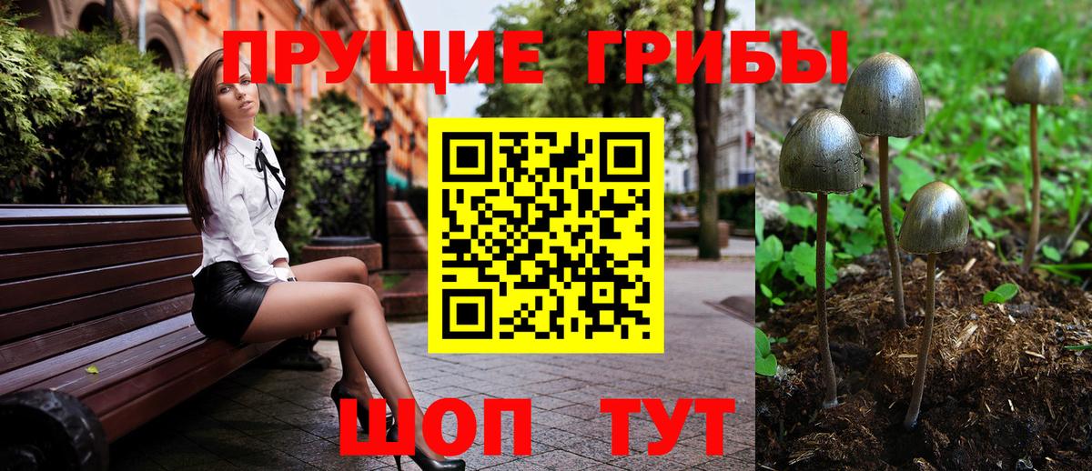 Псилоцибиновые грибы MAGIC MUSHROOMS  Вход с VPN  Боровичи 
