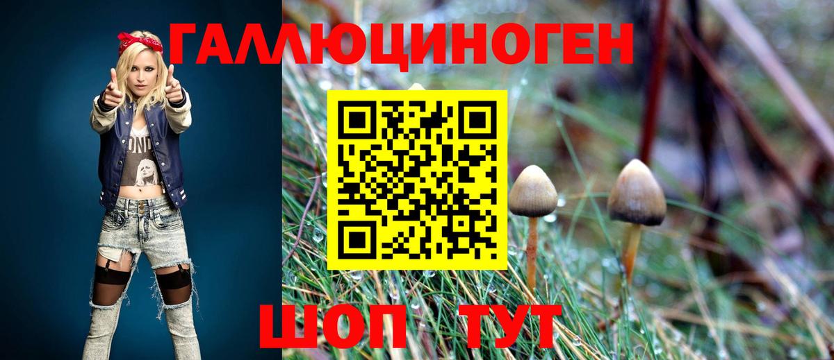 Псилоцибиновые грибы прущие грибы Боровичи